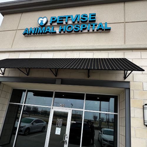 Petvise Animal Hospital outer view